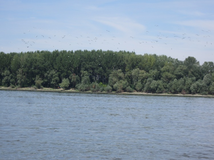 On the Danube: Algernon Blackwood was on to something